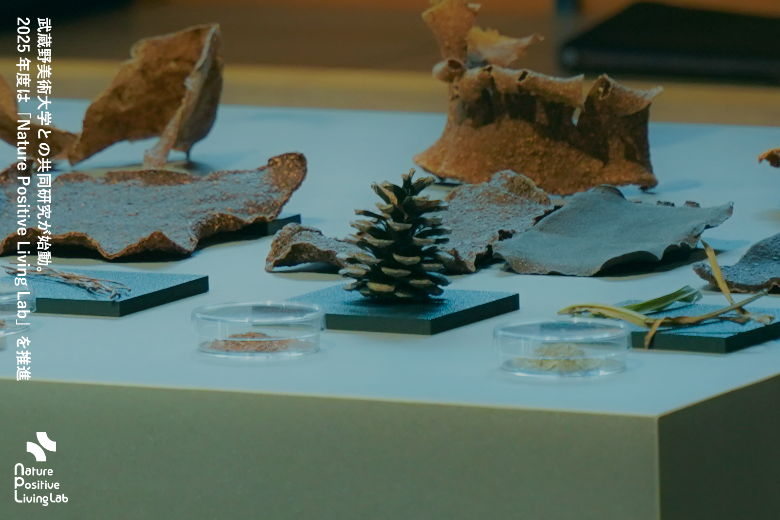 武蔵野美術大学との共同研究が始動。2025年度は「Nature Positive